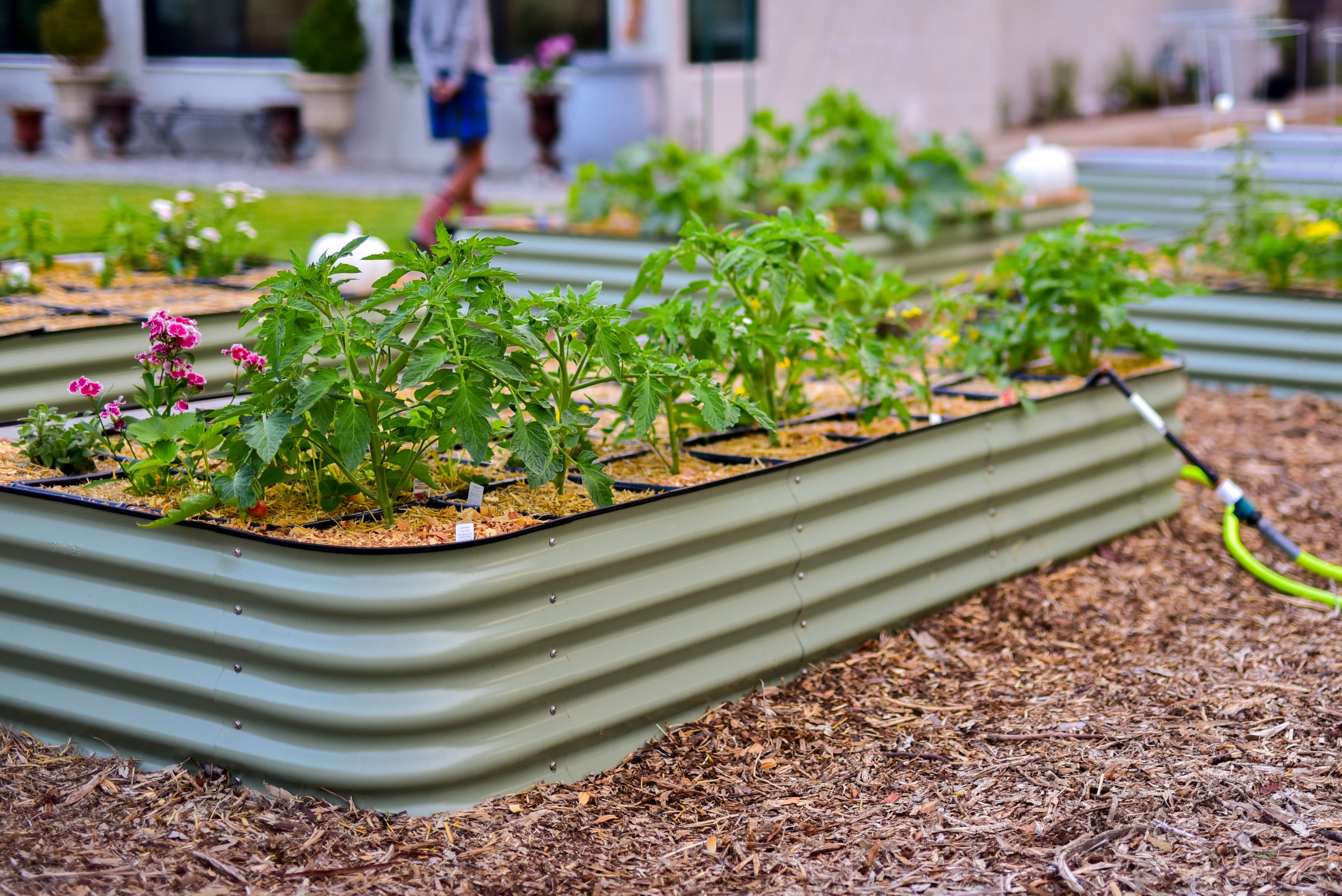 The Kitchen Garden